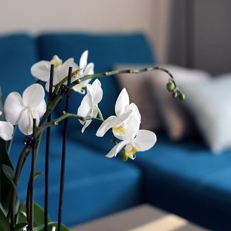 Apartament Turkus Szczecin Zewnętrze zdjęcie