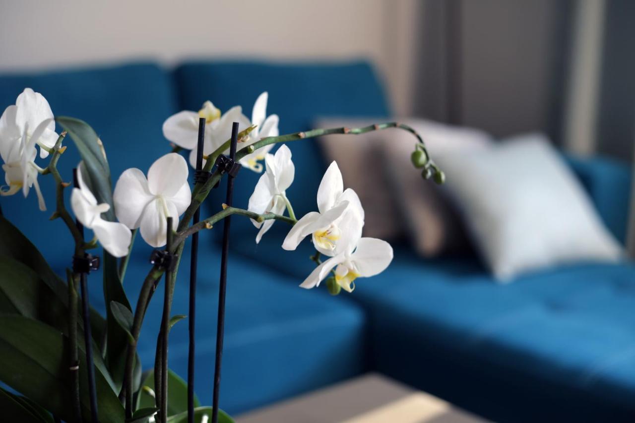 Apartament Turkus Szczecin Zewnętrze zdjęcie